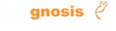 GnosisNet Logo